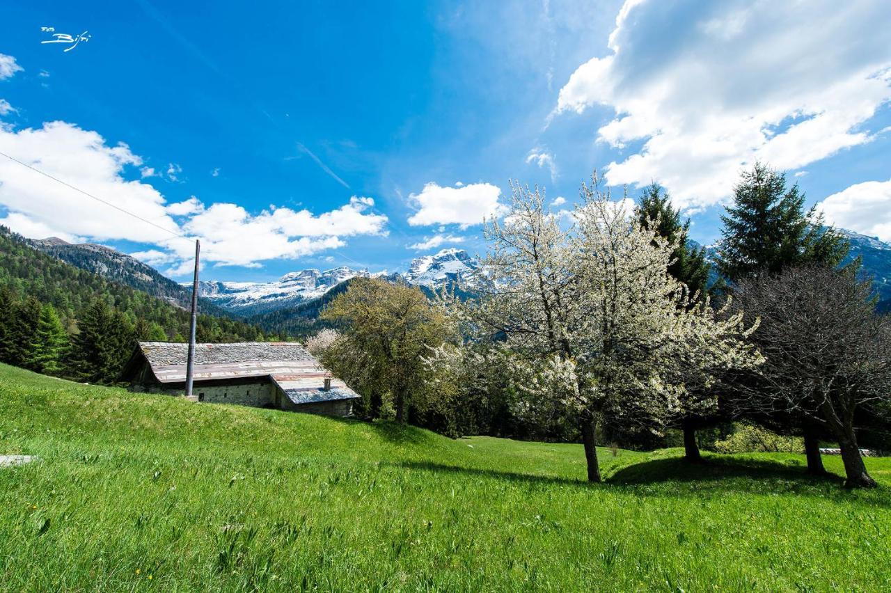 Olympic Regina Hotel Pinzolo Esterno foto