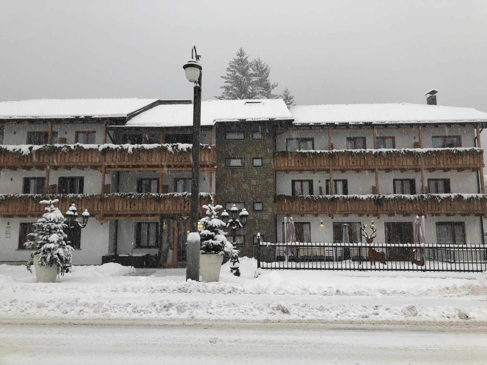 Olympic Regina Hotel Pinzolo Esterno foto